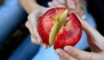 共享平臺模式如何打造差異化優(yōu)勢