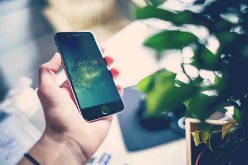 快遞實名認證APP將推出圖片