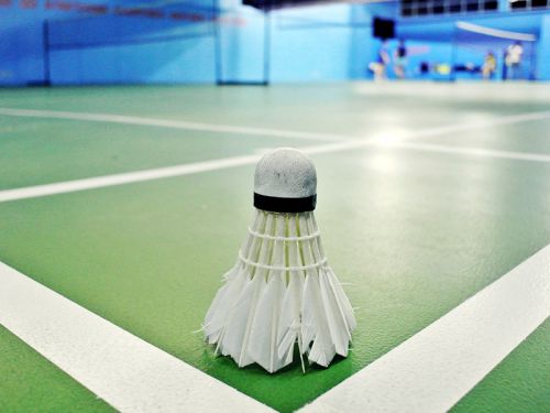 [公司活動]六一兒童節(jié)羽毛球友誼賽通知圖片