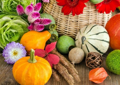 生鮮蔬果app開發(fā)價格是多少？圖片