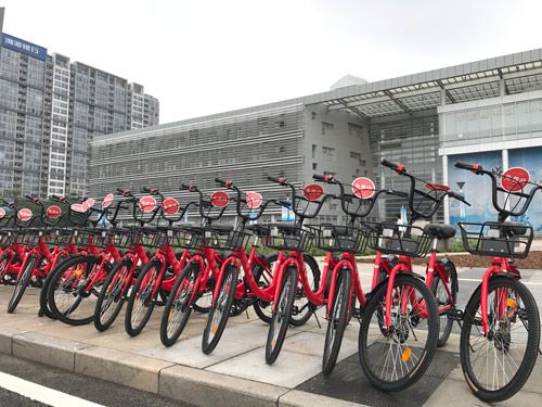 小強(qiáng)單車借臺(tái)風(fēng)之勢入駐發(fā)源地東莞圖片