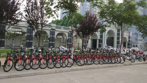 小強(qiáng)單車正式亮相大武陟街頭圖片