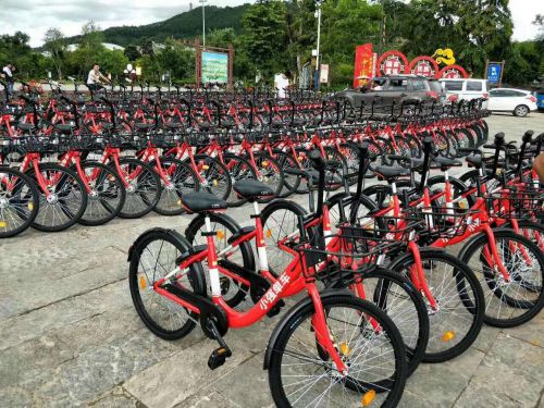 新款小強(qiáng)單車入駐云南圖片