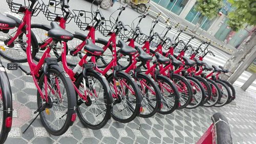 共享單車未來的發(fā)展在哪兒圖片