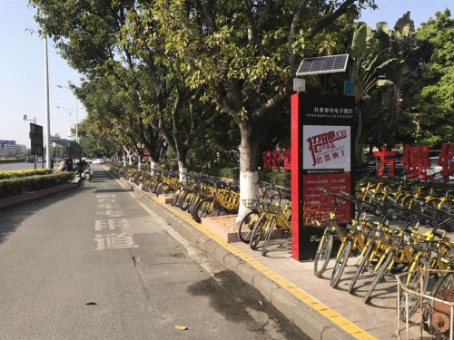 如何治理共享單車‘任信’問題圖片