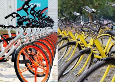 共享單車發(fā)展異?；鸨脑驁D片