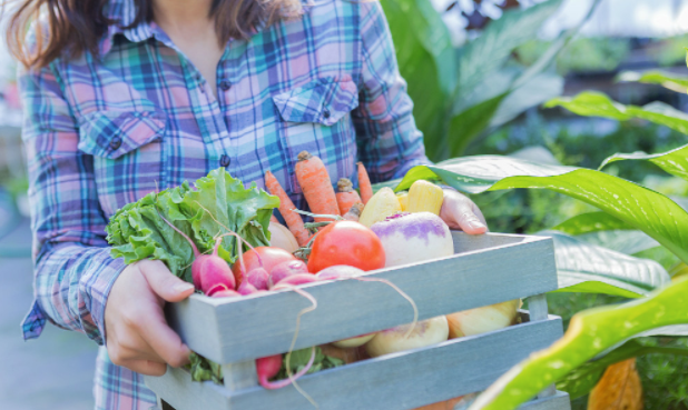 社區(qū)團購小程序