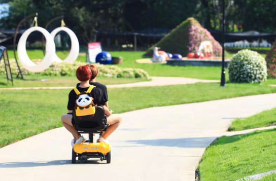 景區(qū)電動(dòng)車(chē)