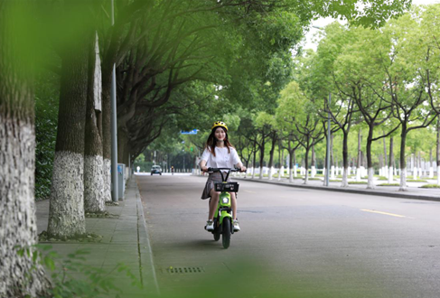 景區(qū)共享電動車