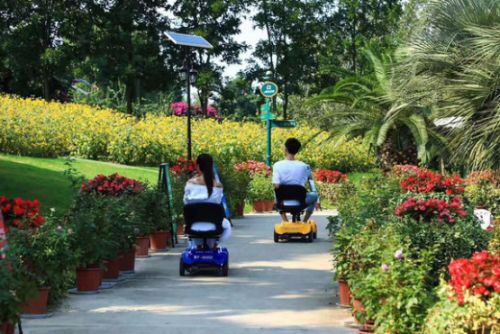 暑假快來了，您的景區(qū)共享電動車項目落地了嗎圖片