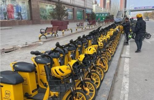 對于需要投標的城市需要怎么做共享電單車項目圖片