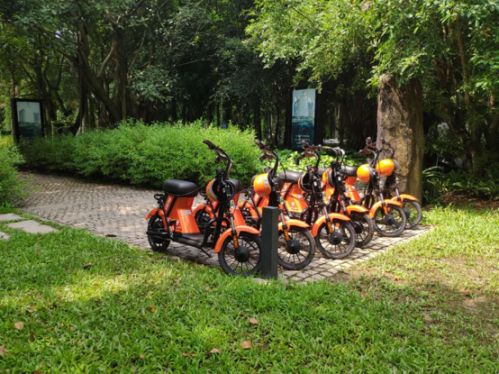 是什么造就了共享電動(dòng)車在我國的超級地位圖片